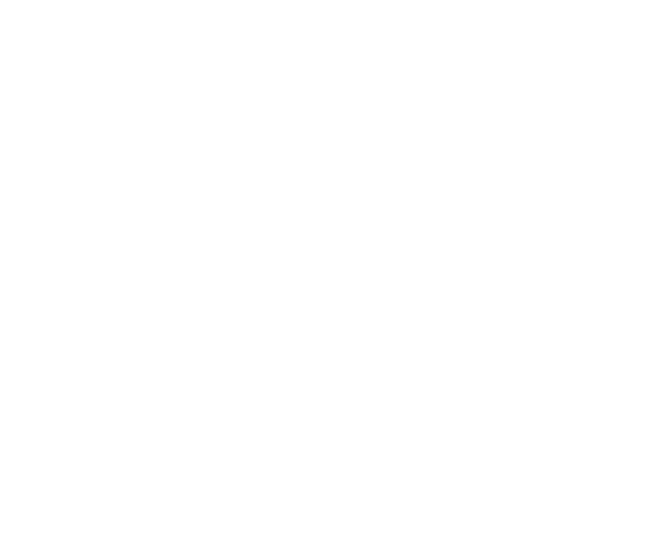 VitalityIP